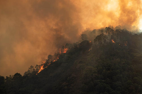 广州澳盾2020第四届全国森林消防装备展圆满落幕