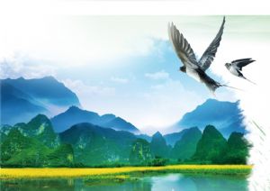 聚焦高考&mdash;&mdash;绿水青山，我们押中了！