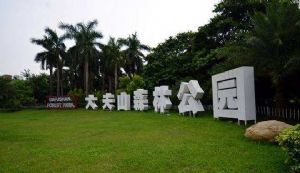 放飞自我 拥抱自然｜我们与大夫山有个美好的邂逅！