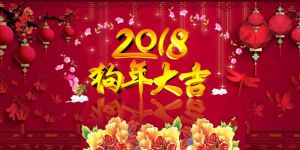 广州澳盾2018年春节放假通知