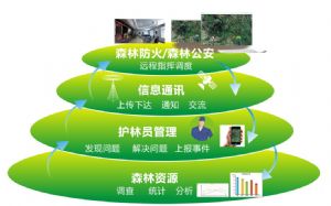 森林卡口语音之森林安全立体防控系统