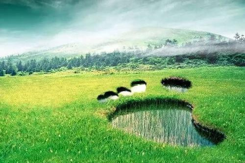 山水林田湖草沙共治 人与自然和谐共生