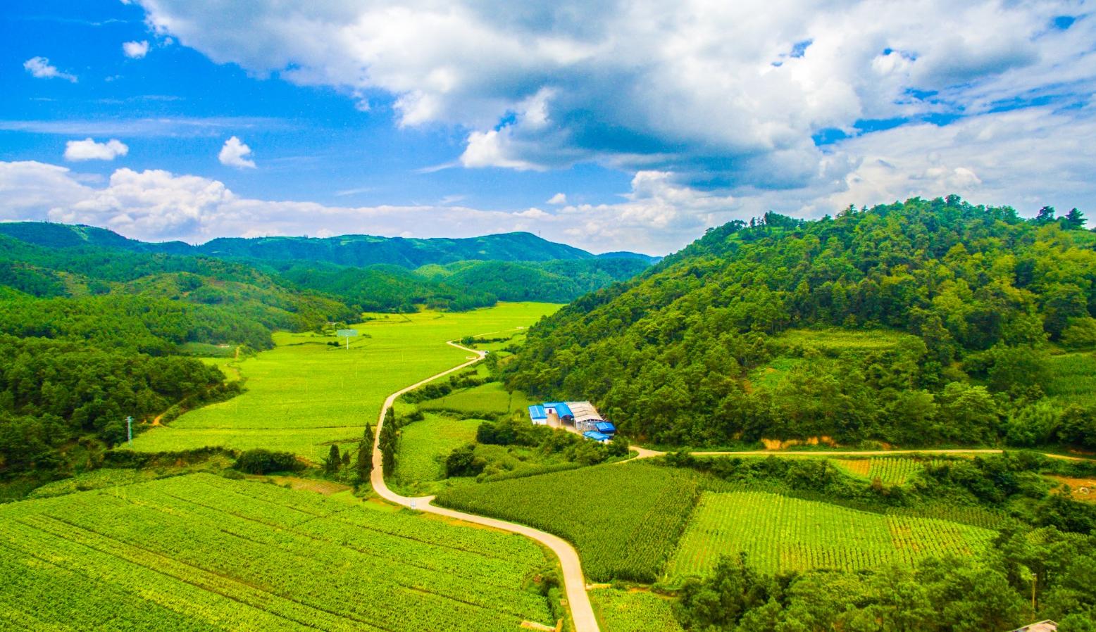 &ldquo;十四五&rdquo;林草规划图解