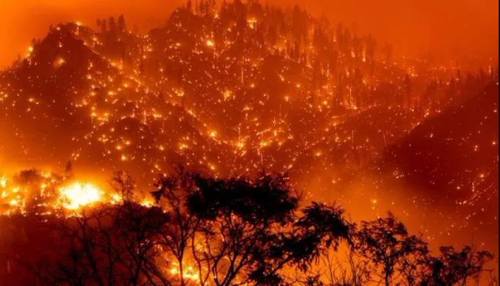 美国104处大规模山火在燃烧 过火面积超9700平方公里