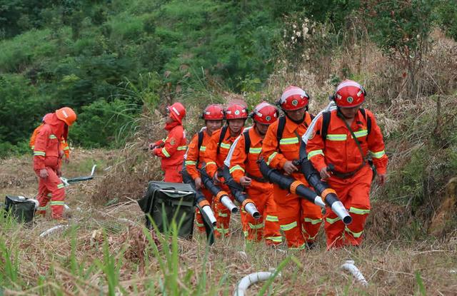 广东进入森林防火特别防护期 普及推广&ldquo;防火码&rdquo;新技术