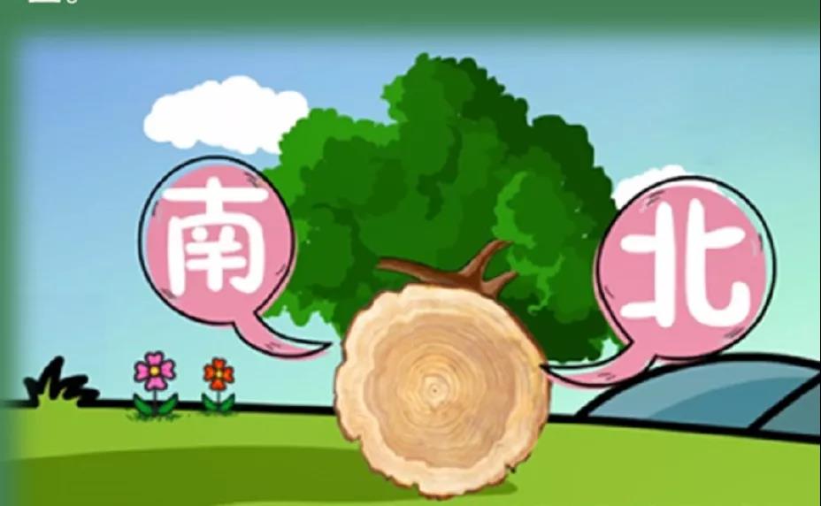 森林&ldquo;迷路&rdquo;脱险自救宝典