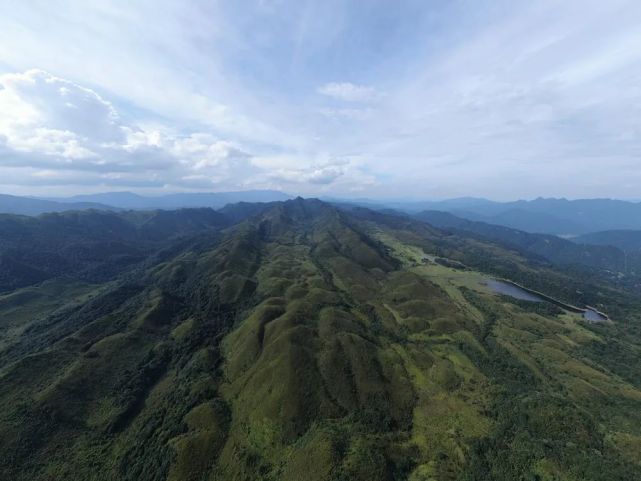 罗坑鳄蜥保护区首次发现鸳鸯