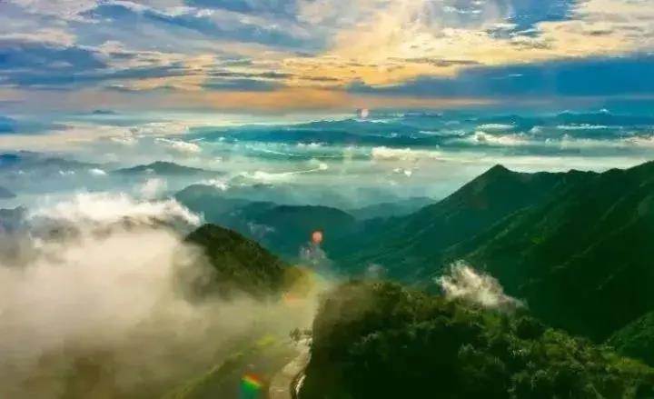 河源全面推行林长制