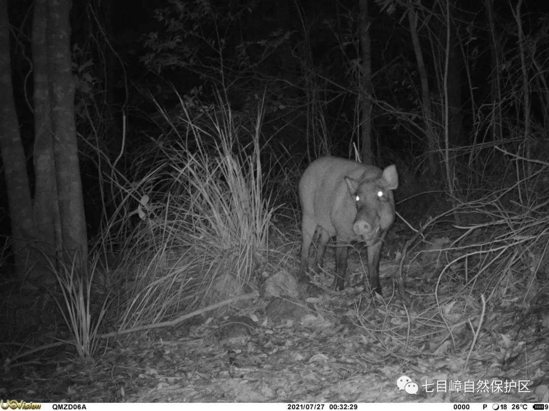 16289262dfa4959c6c4744cdd3ead6e5.jpg 016.jpg