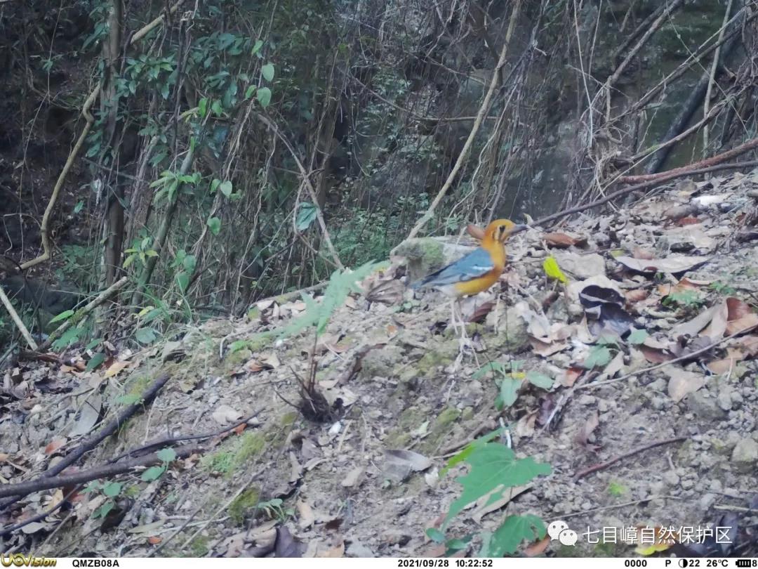 2a708e8494a7e3b55f484500c110fe1c.jpg 021.jpg