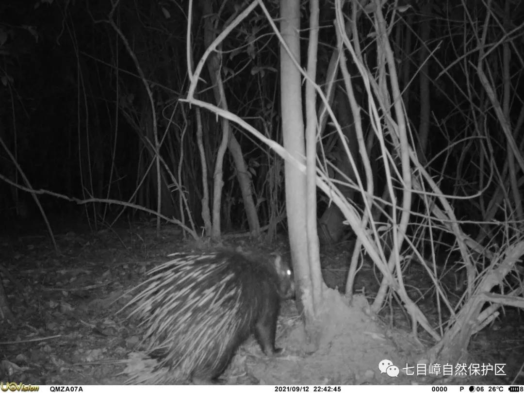 82fdfd1cba1dfb7220f2a50196b32096.jpg 015.jpg