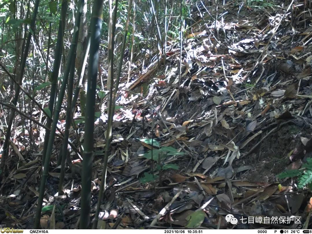 c08bebc29e231a533ae214d45c26acef.jpg 022.jpg