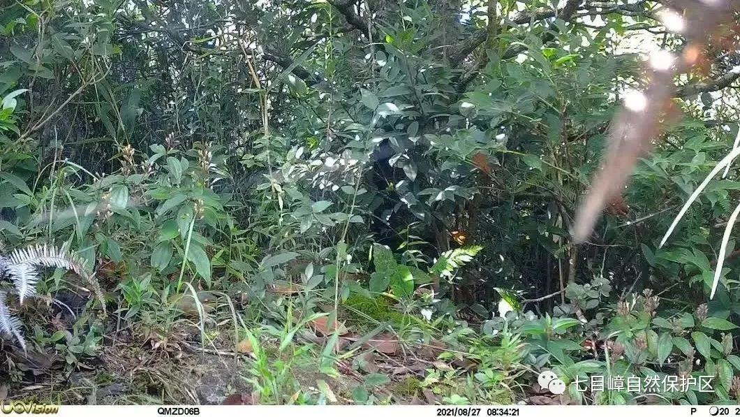 c92c60732ac80ef375c0531b6737b193.jpg 009.jpg