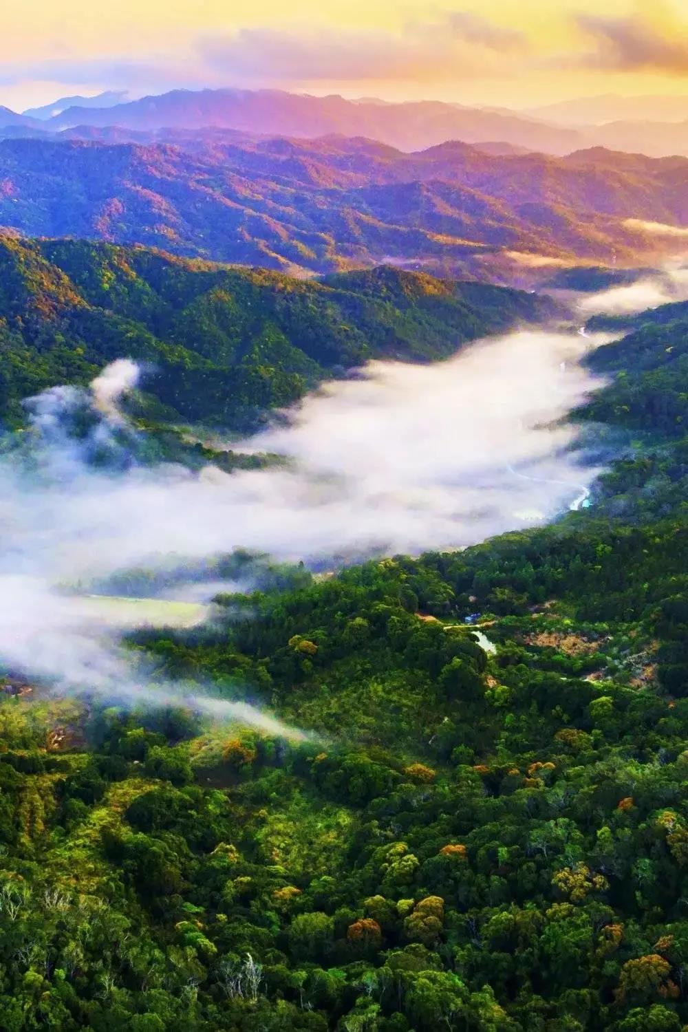 82b3a277966bad445d9da8e066a442d3.jpg 海南热带雨林国家森林公园.jpg