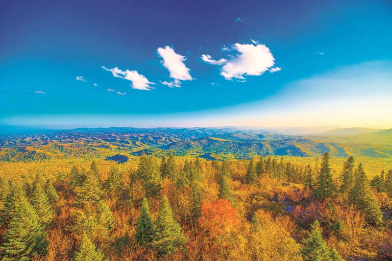 8b32f6e25fff6bf8806aa1b792289bfc.jpg 东北虎豹国家森林公园.jpg