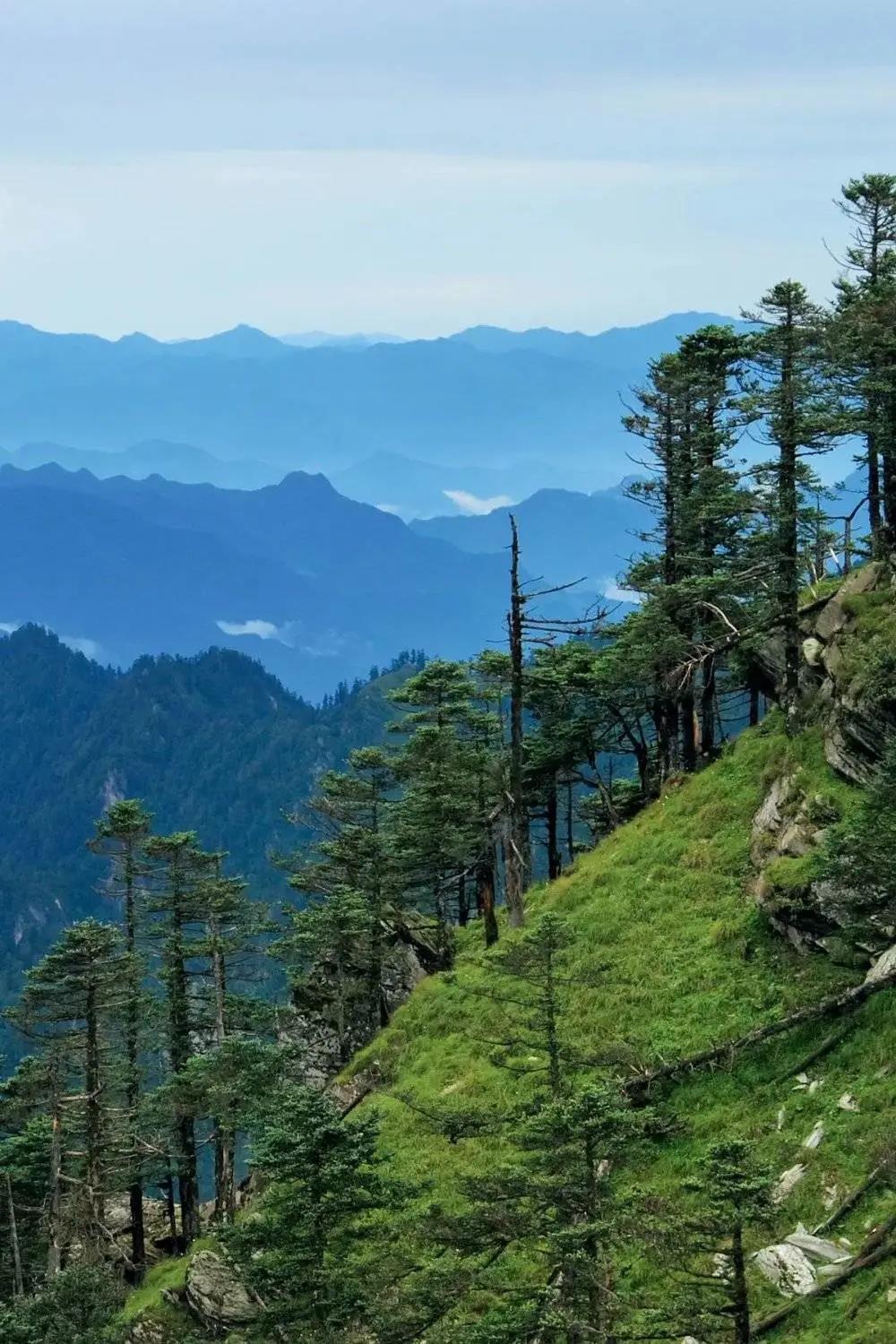 d024fd4c7e041620f4a56a342d7d5688.jpg 大熊猫国家森林公园.jpg