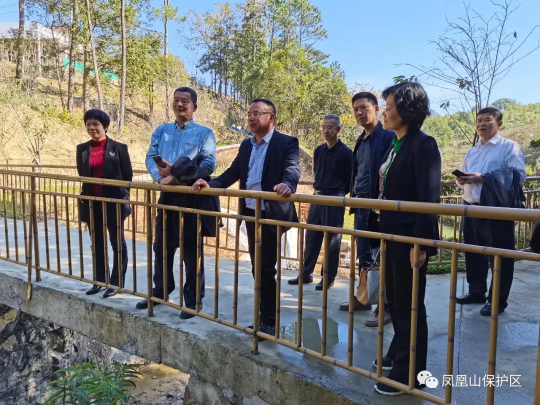 省林业局调研组到凤凰山保护区调研