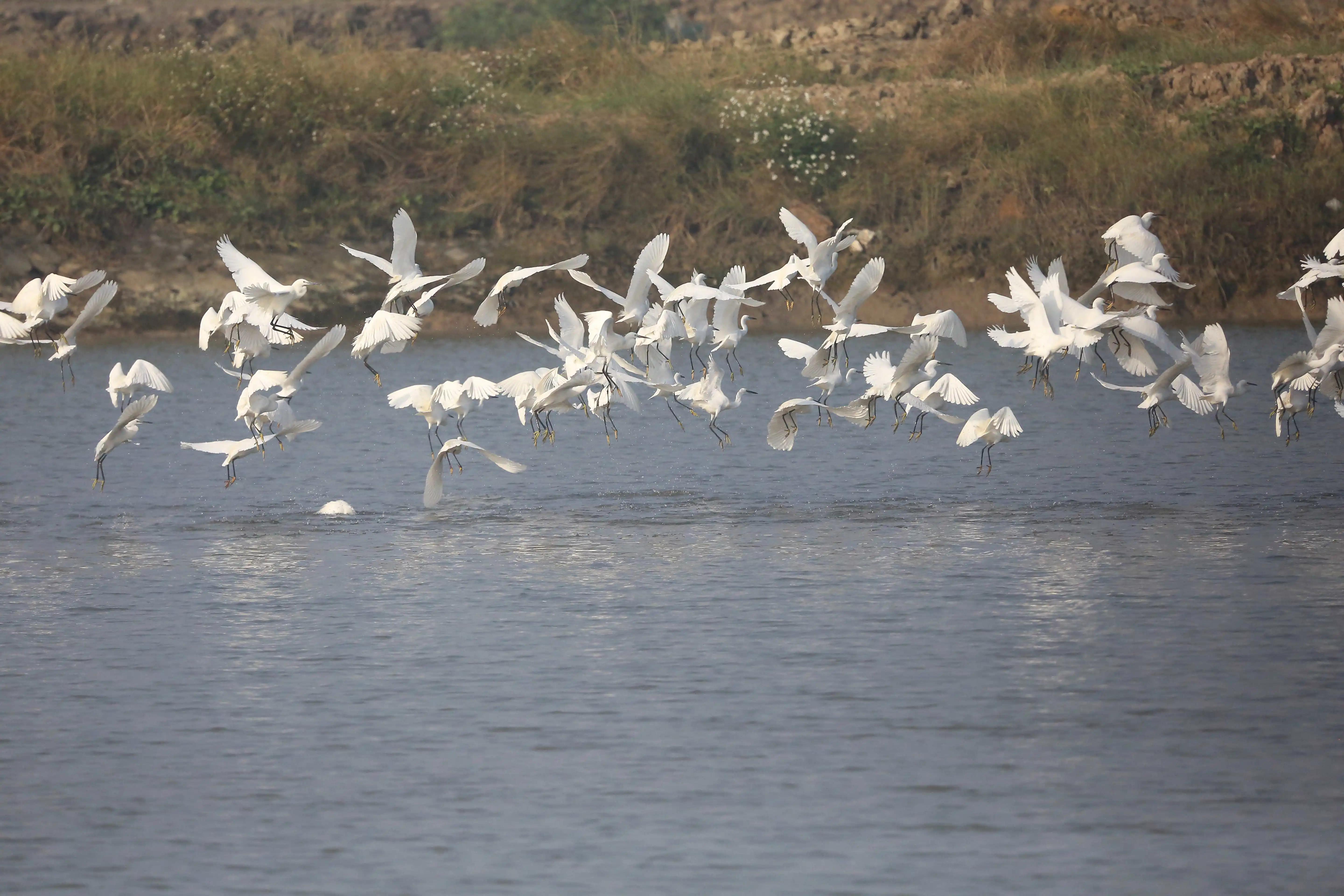 1804369c0bb222daadfccc65ad2d0671.jpg 007.jpg