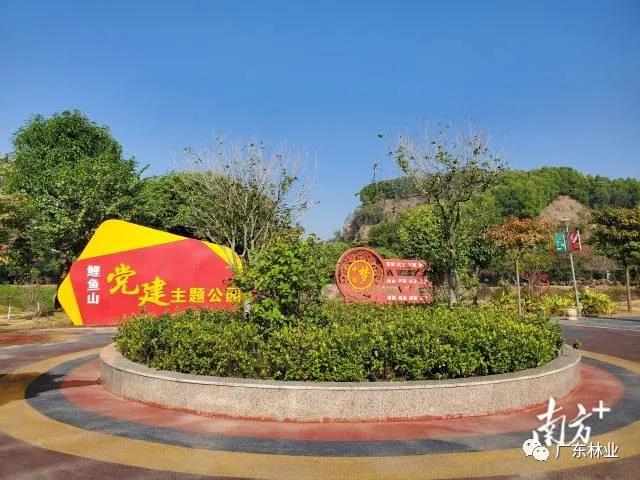 废弃矿山变绿地公园！中山鲤鱼山换上新颜