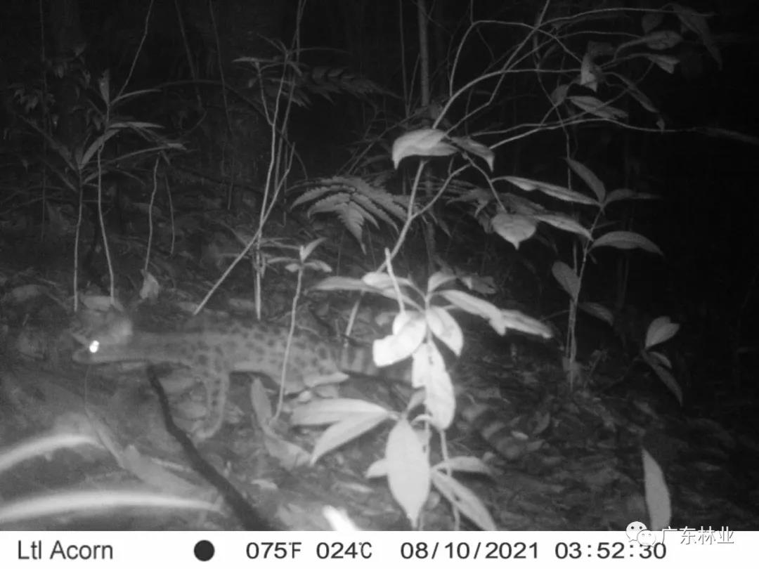 00ee35f69cf316b9112e154635666be1.jpg 005.jpg