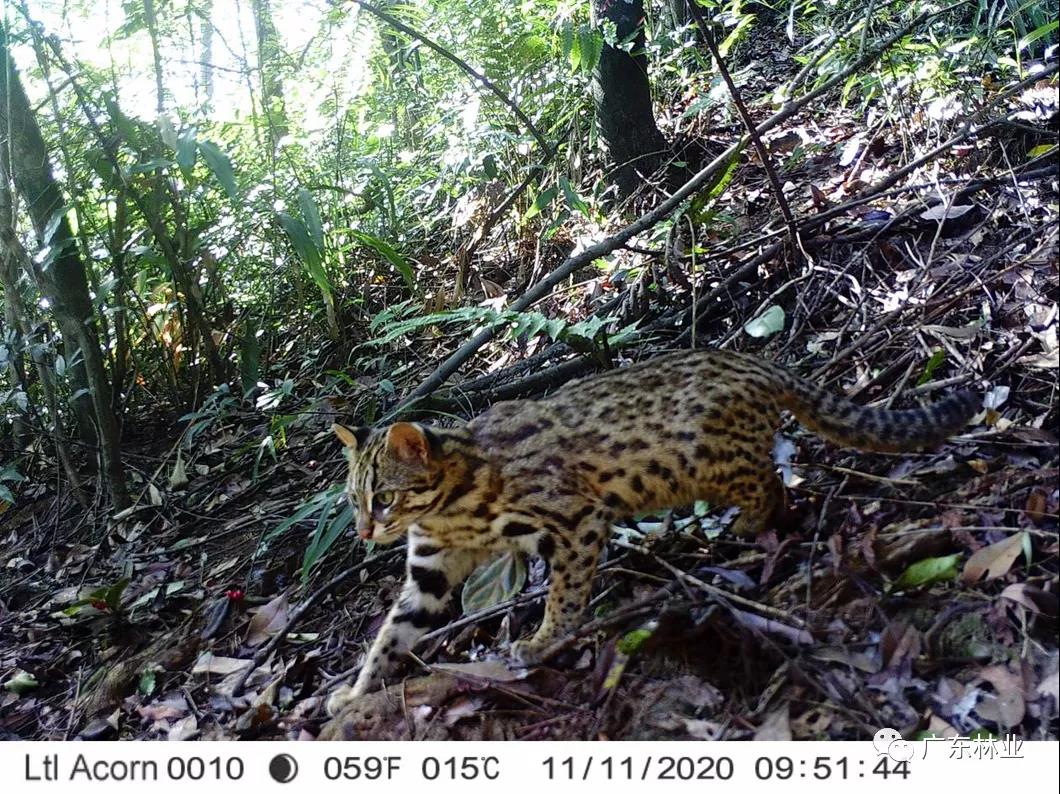 bf9ee4ed34752828b0a13d0ee308e476.jpg 004.jpg