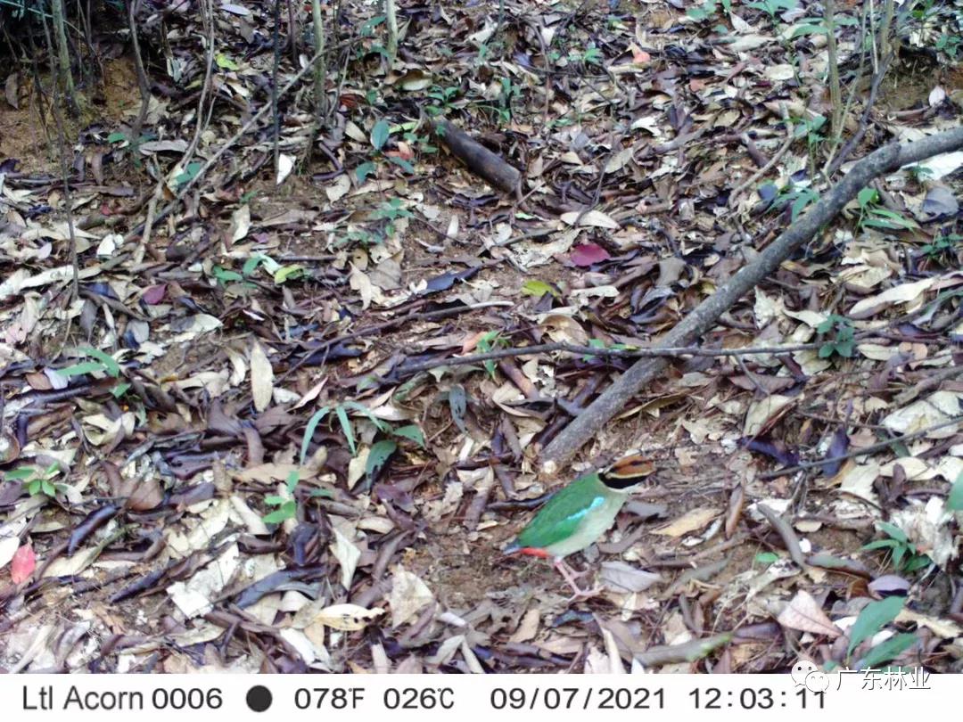 f96f2bd402a714673b98099d528572be.jpg 002.jpg