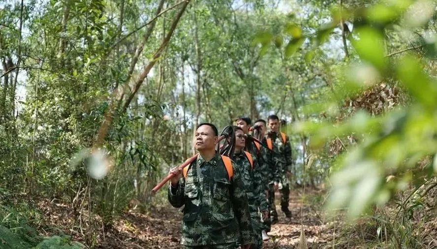 东莞1059名林长到岗 林长是多大的&ldquo;官儿&rdquo;