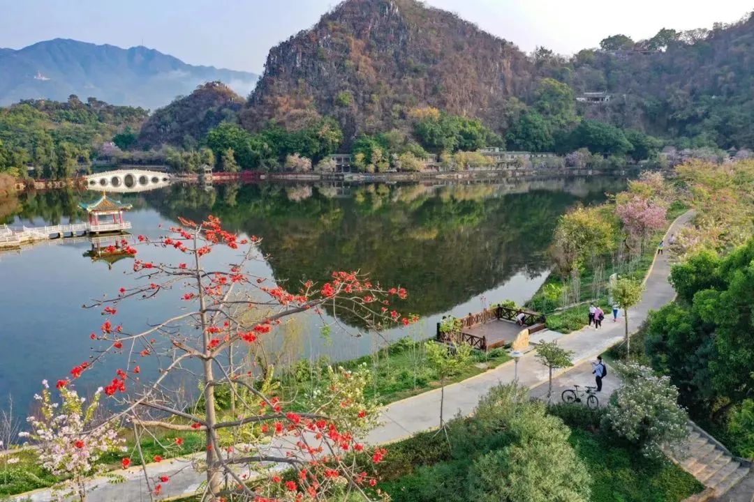 肇庆发布第1号林长令