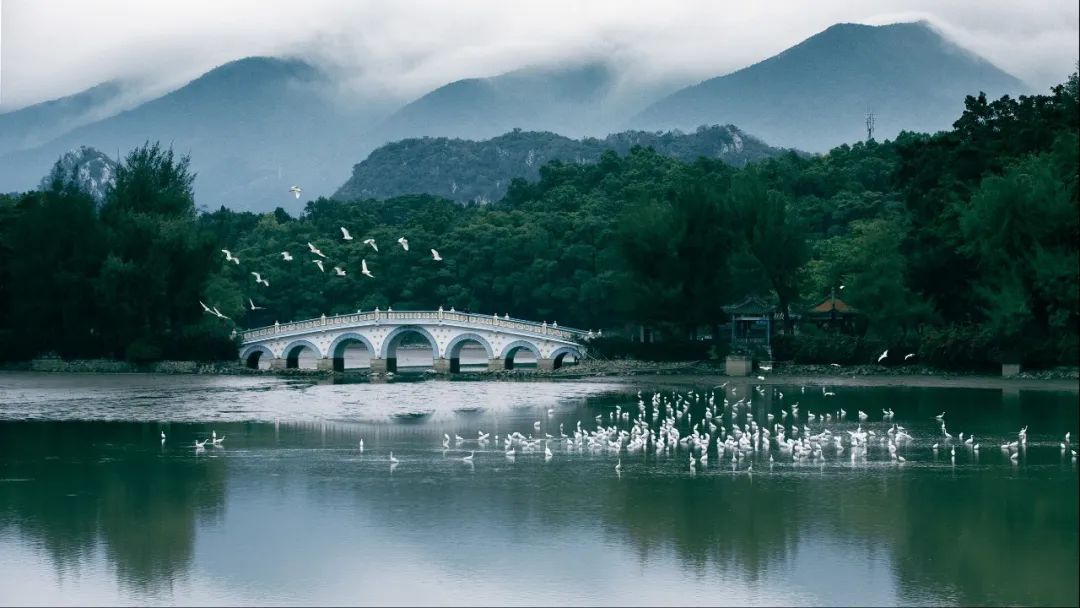 广东省发布2022年第1号总林长令