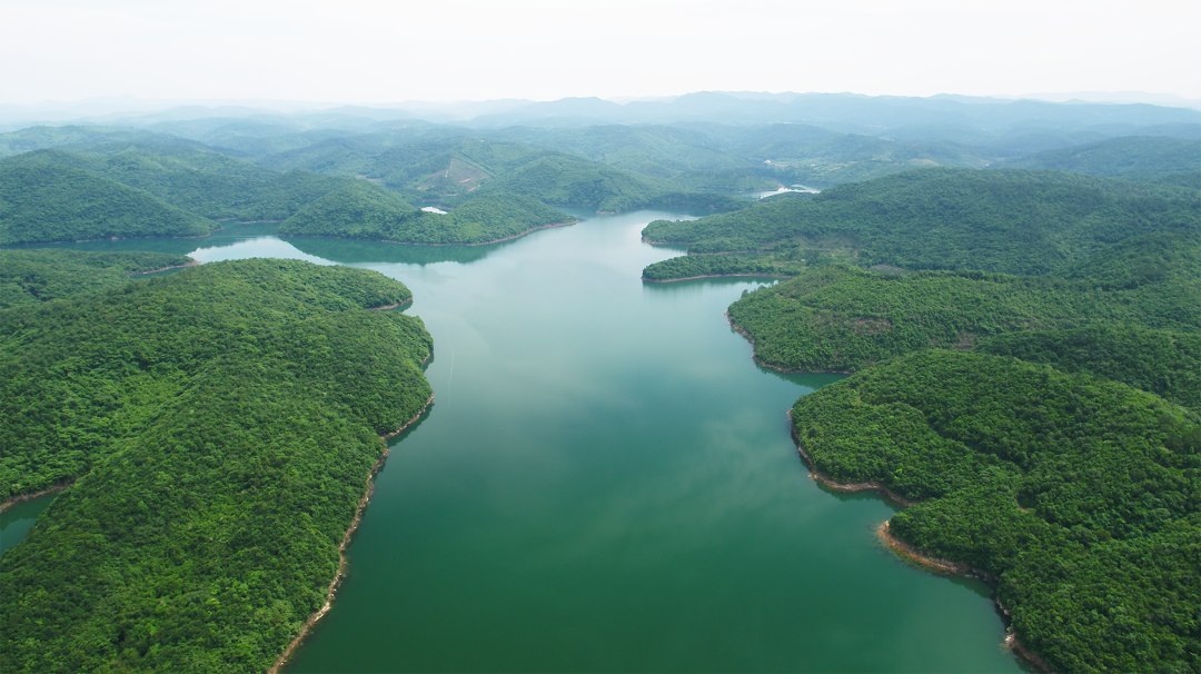 森林&ldquo;四库&rdquo;系列解读丨森林是水库