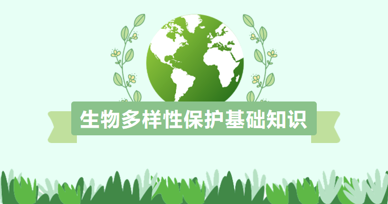 生物多样性保护基础知识