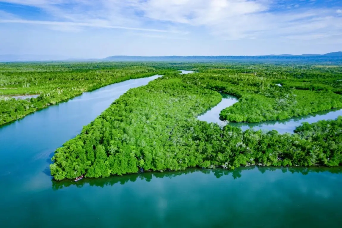 2021年中国自然保护地十件大事