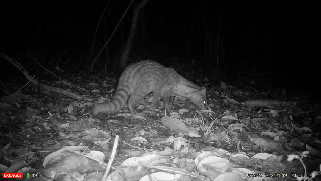 555573122cb4a04dca1e95114fd65c5d.png 002.png