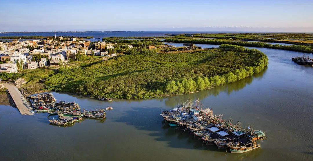 d1c6e1dc677ca0a2dbf274e81fe716d7.jpg 003.jpg